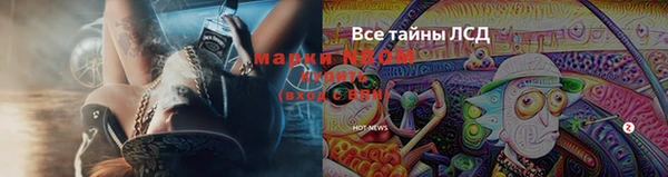 шишки Бронницы