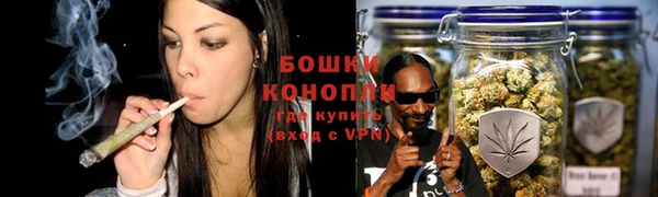 шишки Бронницы