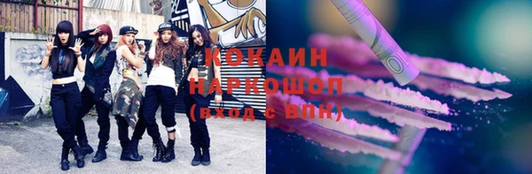 шишки Бронницы
